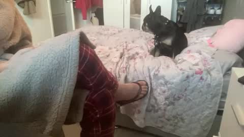 Snapshot of shyboy0533 chatting on 11.03.25 shyboy0533 online show from 11.03.25