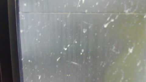 shygurl18hot online show from 10.13.25