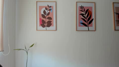 shylittlebunny online show from 02.11.26