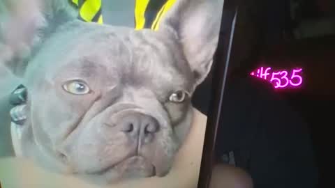 Snapshot of shymilf535 chatting on 02.27.26 RBXs Princess online show from 02.27.26