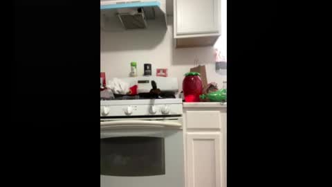 Snapshot of shyyyguyyy59 chatting on 10.08.25 shyyyguyyy59 online show from 10.08.25