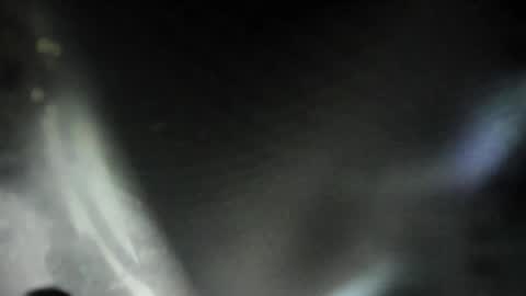 SiaFox online show from 10.12.25