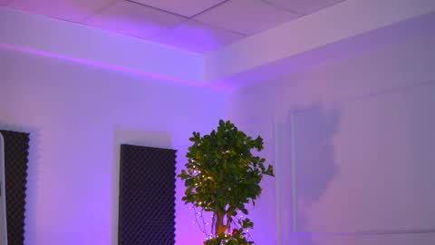 Sienna online show from 02.28.26