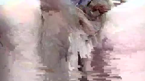 Snapshot of sigmaelixer chatting on 09.29.25 sigmaelixer online show from 09.29.25