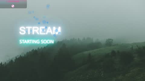 Allmylinkssilentmary666 online show from 12.14.25