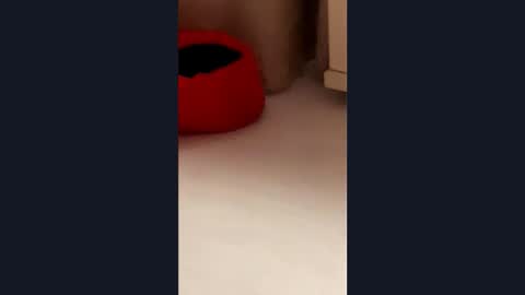 silvia998 online show from 03.21.26