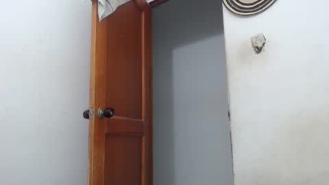 sirajones online show from 03.02.25