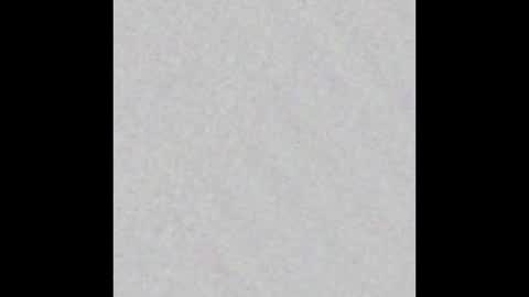 siren indira online show from 02.17.26