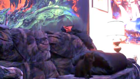 Jimmy B online show from 01.04.25