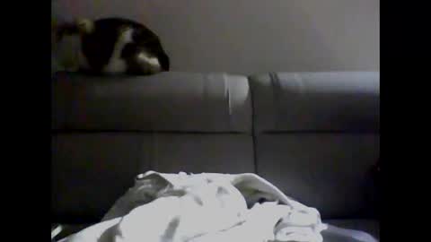 miguel online show from 12.02.24