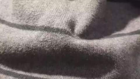 skeetzmgee online show from 11.12.25