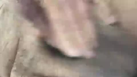 skima48 online show from 02.14.26