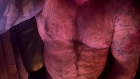 BEEF online show from 03.29.26