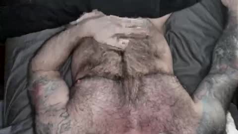 BEEF online show from 04.11.26