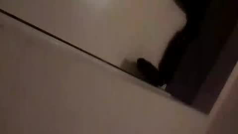 skimmer70z online show from 09.14.25