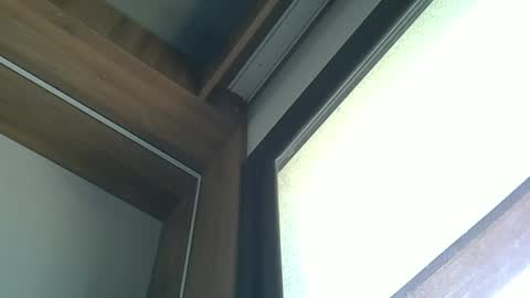 skinnykittencam online show from 10.05.25