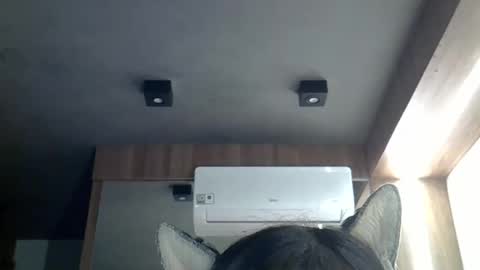 skinnykittencam online show from 03.02.26