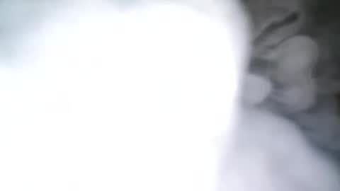 Snapshot of skyonetoo3 chatting on 10.21.25 skyonetoo3 online show from 10.21.25