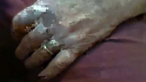 ResqPylot2 online show from 02.04.26