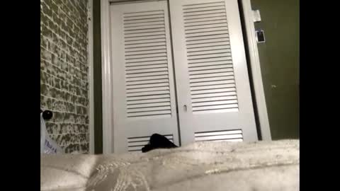 Slangindopee online show from 01.22.25