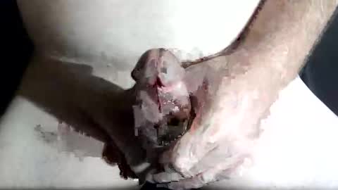 Z online show from 02.04.26