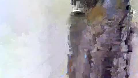 slim_me online show from 04.15.26