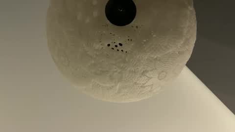 slimguy03 online show from 01.28.25