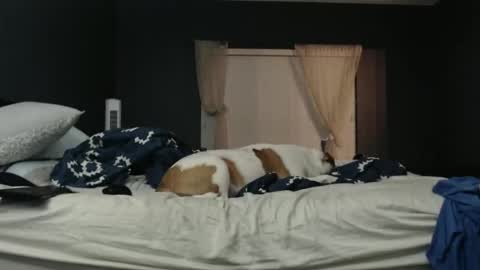 Snapshot of slimjp chatting on 02.07.26 slimjp online show from 02.07.26