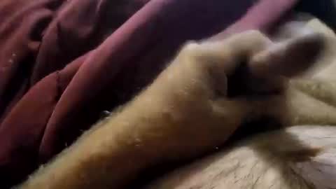 Snapshot of slitlicke69696969 chatting on 09.19.25 slitlicke69696969 online show from 09.19.25