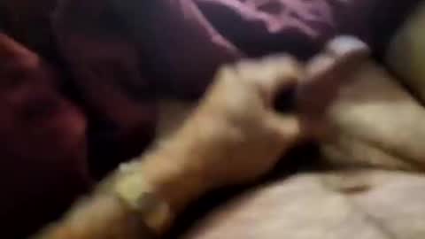 Snapshot of slitlicke69696969 chatting on 09.21.25 slitlicke69696969 online show from 09.21.25