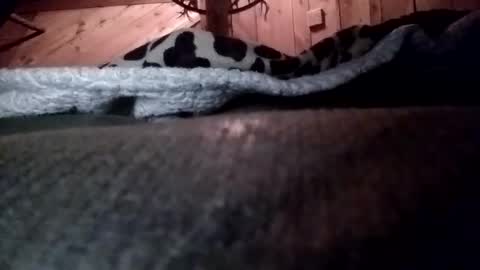 slurryyy online show from 03.29.26