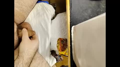 transmisin gratuita bajo demanda  free broadcast on demand online show from 01.02.25