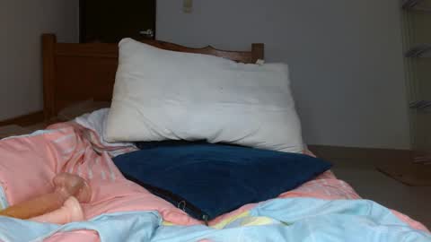 brenda online show from 10.20.25