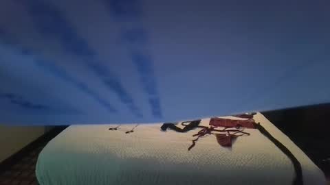 love bug online show from 10.26.25