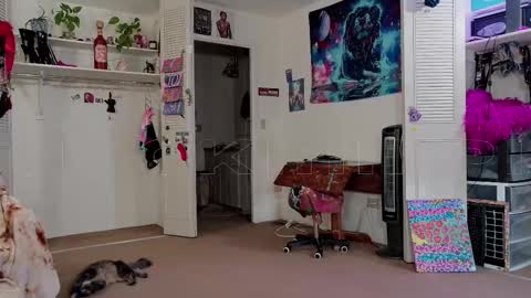 Big Dawg online show from 11.11.25