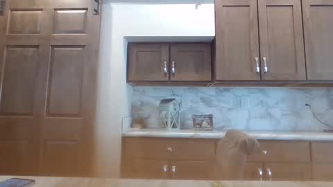 Snapshot of smoothvodka chatting on 01.30.25 Bambi--Vodka online show from 01.30.25