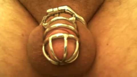 Snapshot of snakepit31 chatting on 12.24.24 Sissy Boy online show from 12.24.24