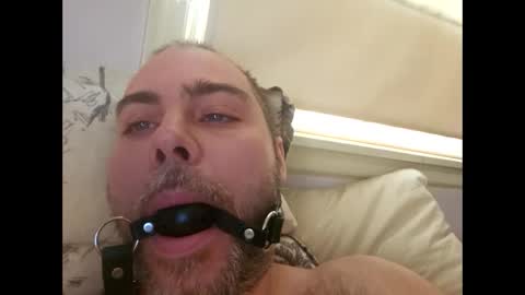 Snapshot of snarkymarks chatting on 12.17.25 snarkymarks online show from 12.17.25