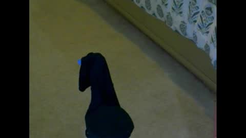 snizniz online show from 12.02.24