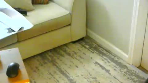 snizniz online show from 01.21.25