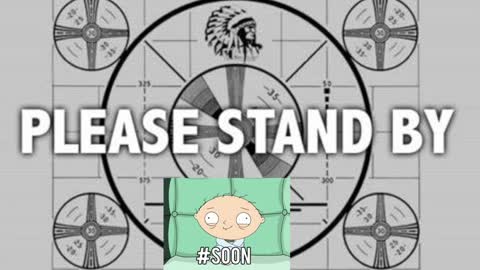 kitten online show from 12.01.24