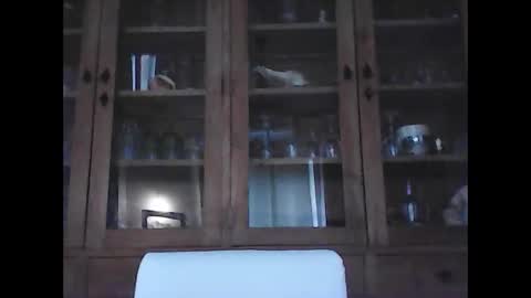 snoecks online show from 02.21.26