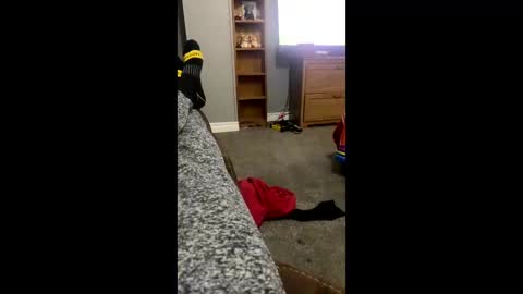 snowball5499 online show from 04.03.26