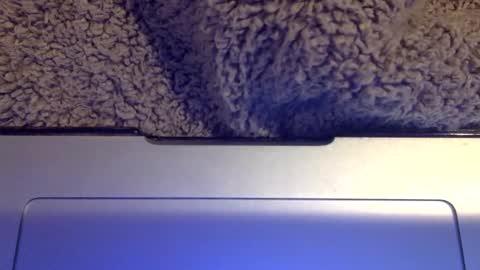 snowpapi79260 online show from 01.21.25