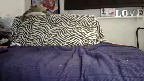 MicroAngelo online show from 11.02.25