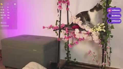 IG Soffimoon   I THANK YOU FOR LEAVING YOUR FOLLOW online show from 10.10.25