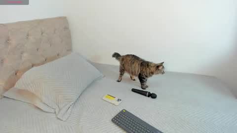 sofi_martinezz1 online show from 04.16.26