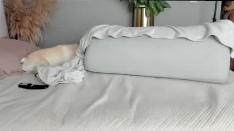 Snapshot of sofia_rivers_ chatting on 02.21.25 sofia_rivers_ online show from 02.21.25