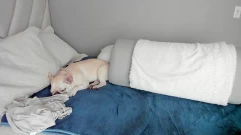 Snapshot of sofia_rivers_ chatting on 03.01.25 sofia_rivers_ online show from 03.01.25