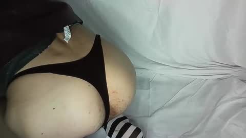 sofiacreator online show from 03.23.26